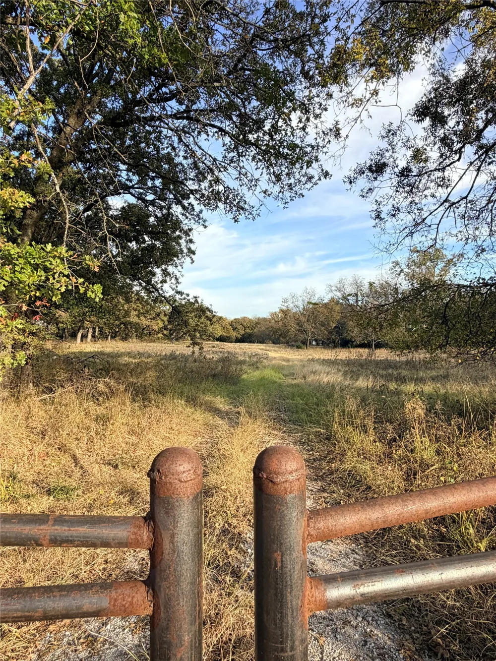 FM 1655 Chico, TX 76431