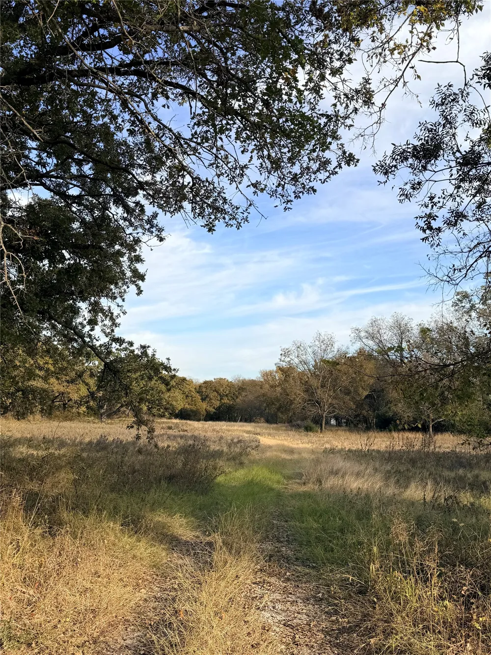 FM 1655 Chico, TX 76431