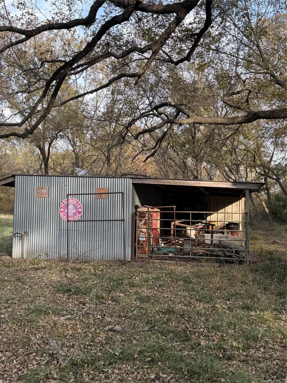 FM 1655 Chico, TX 76431