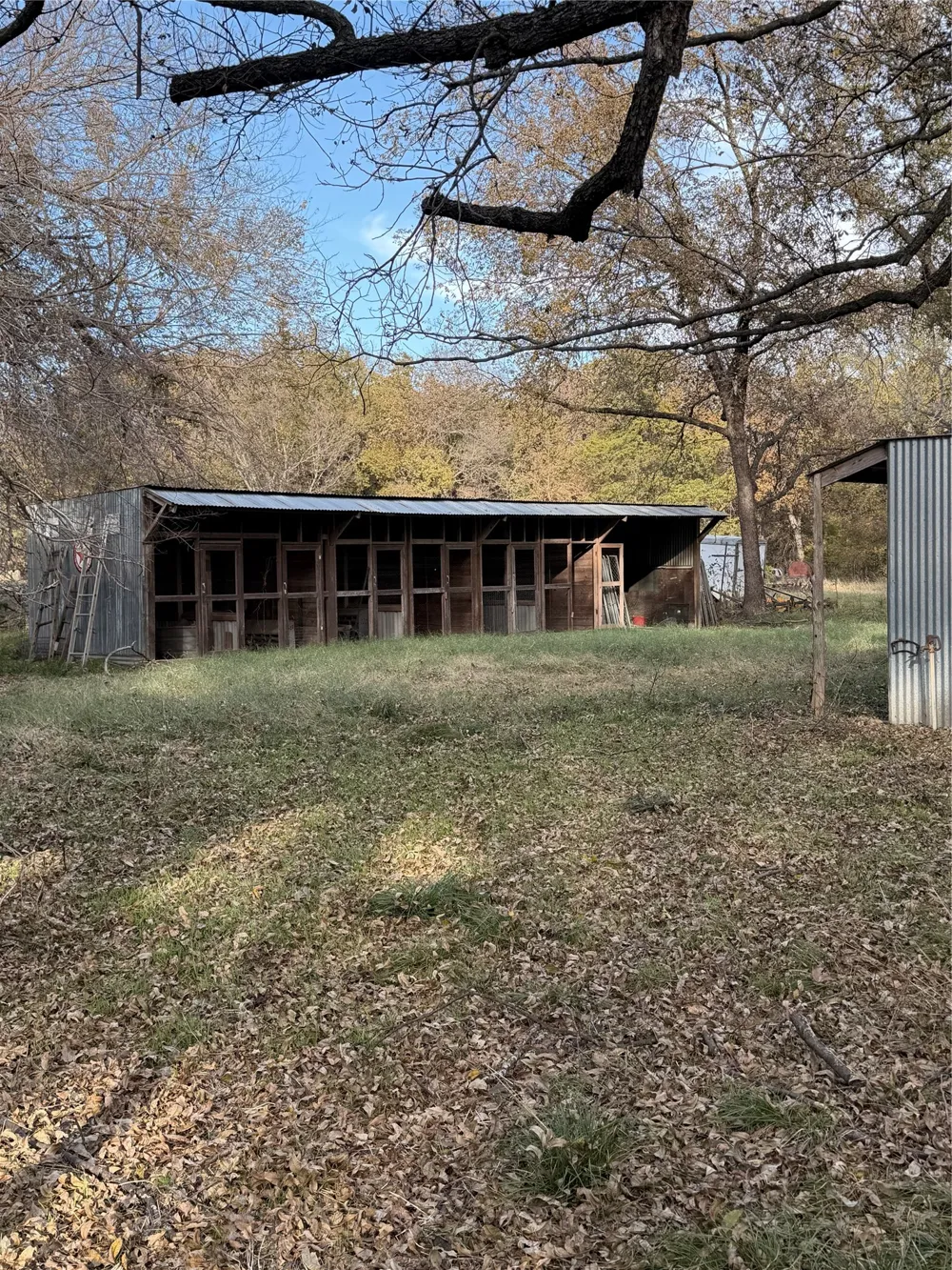 FM 1655 Chico, TX 76431