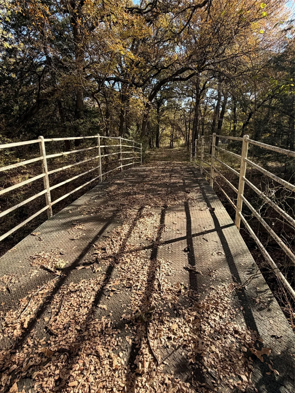 FM 1655 Chico, TX 76431