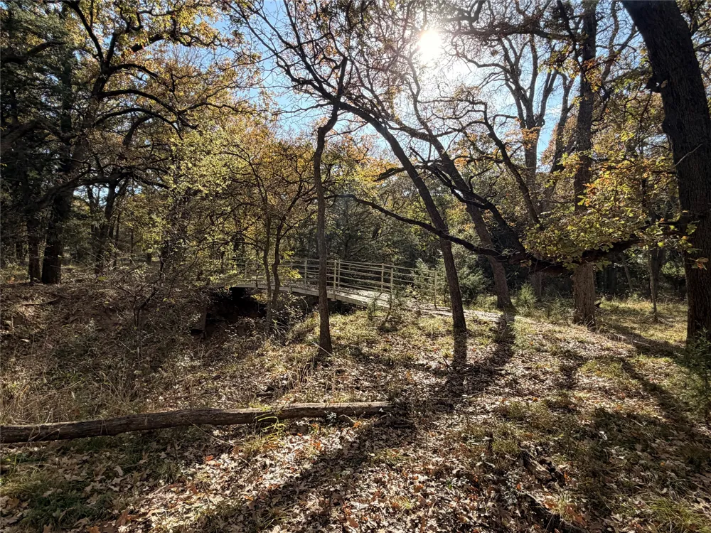 FM 1655 Chico, TX 76431