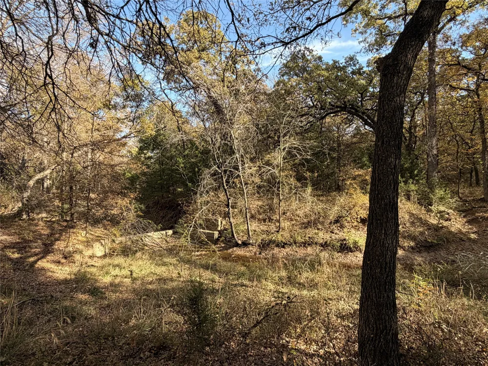 FM 1655 Chico, TX 76431