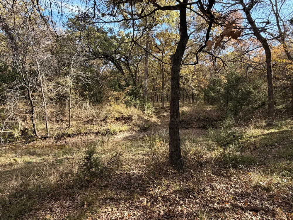 FM 1655 Chico, TX 76431