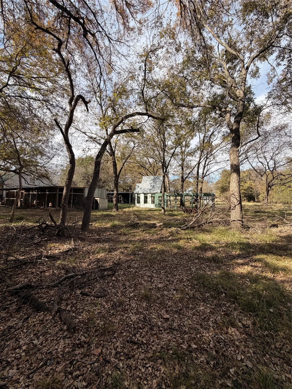 FM 1655 Chico, TX 76431