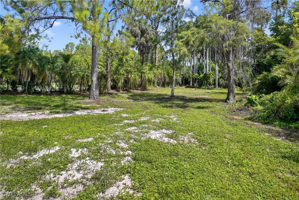 Painted Leaf Lane Naples, FL 34116