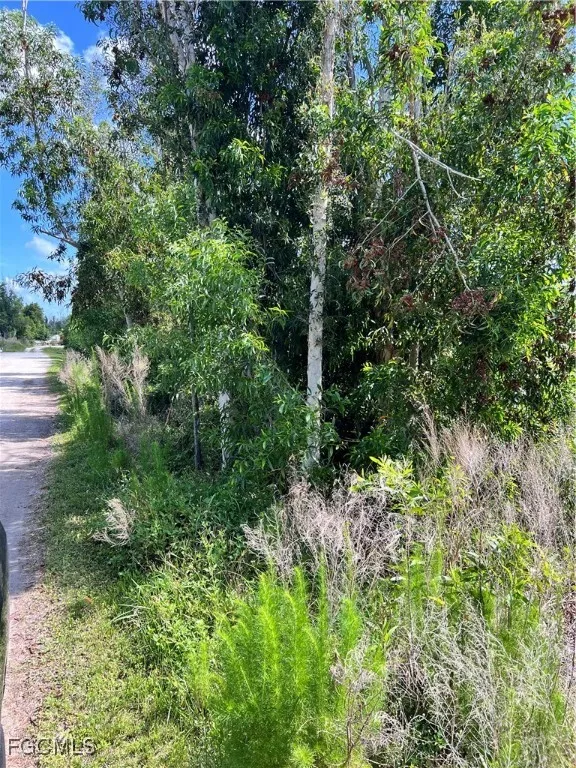 Nome Court St James City, FL 33956