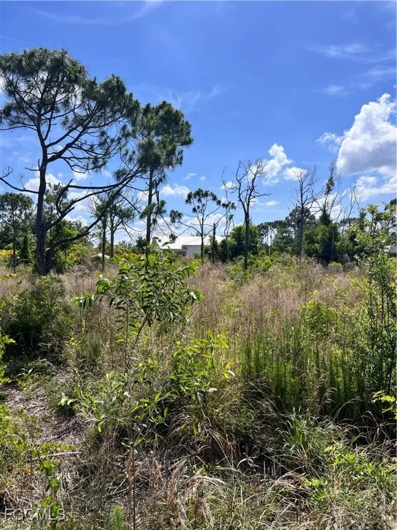 Nome Court St James City, FL 33956