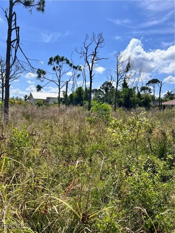 Nome Court St James City, FL 33956