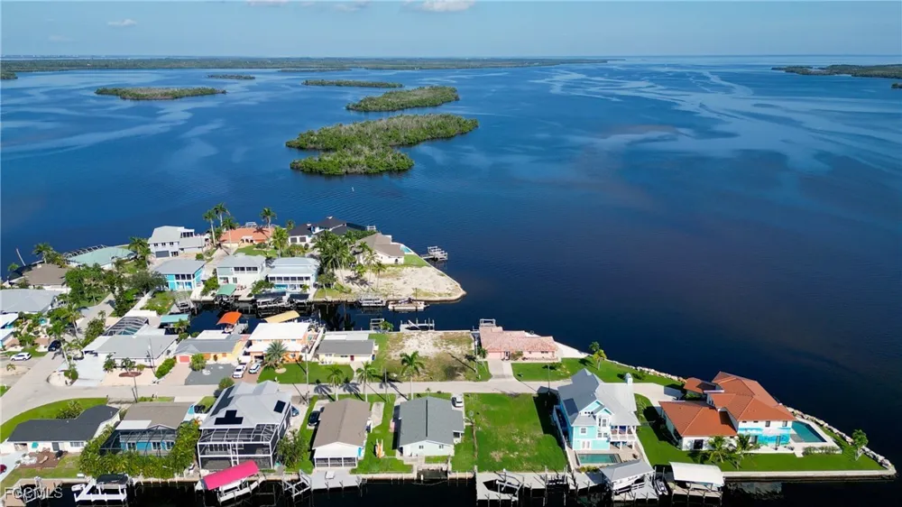 TRIGGERFISH STREET Matlacha, FL 33993