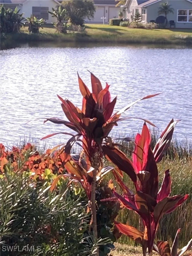 Stone Way Estero, FL 33928