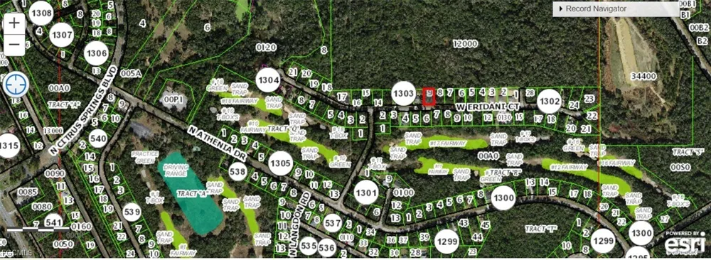 325 Eridani Court Citrus Springs, FL 33434