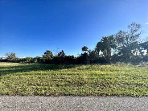 Albatross Road