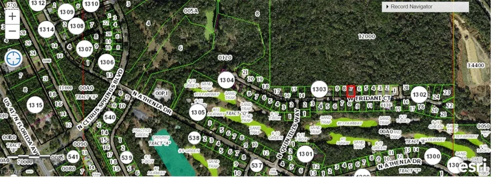W Eridani Ct Citrus Springs, FL 34434