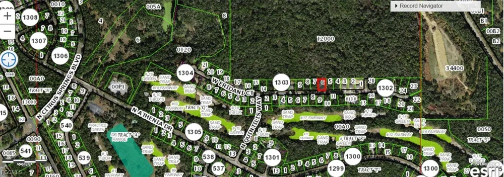 W Eridani Ct Citrus Springs, FL 33954