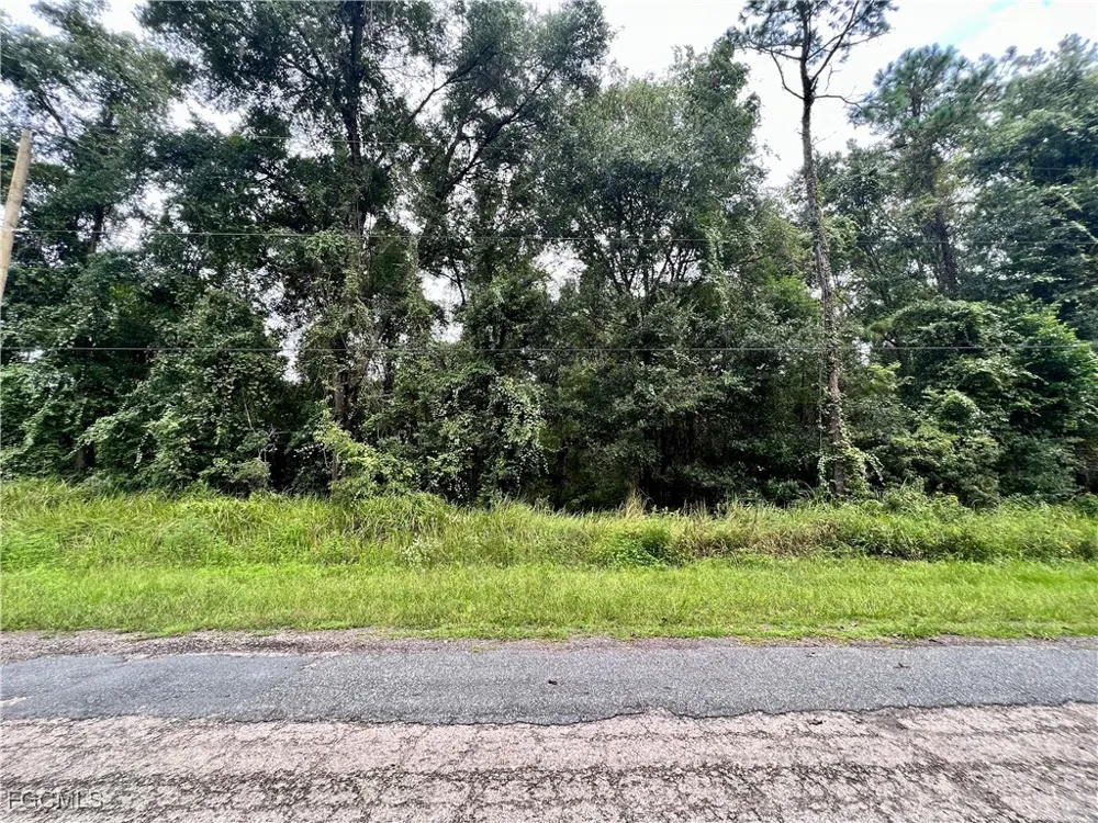 W ERIDANI COURT Citrus Springs, FL 34494