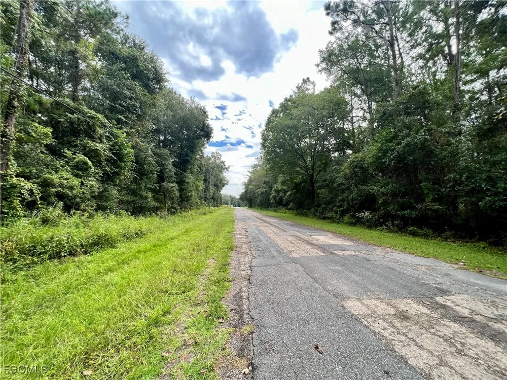W ERIDANI COURT Citrus Springs, FL 34494