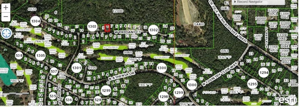 W ERIDANI COURT Citrus Springs, FL 34494