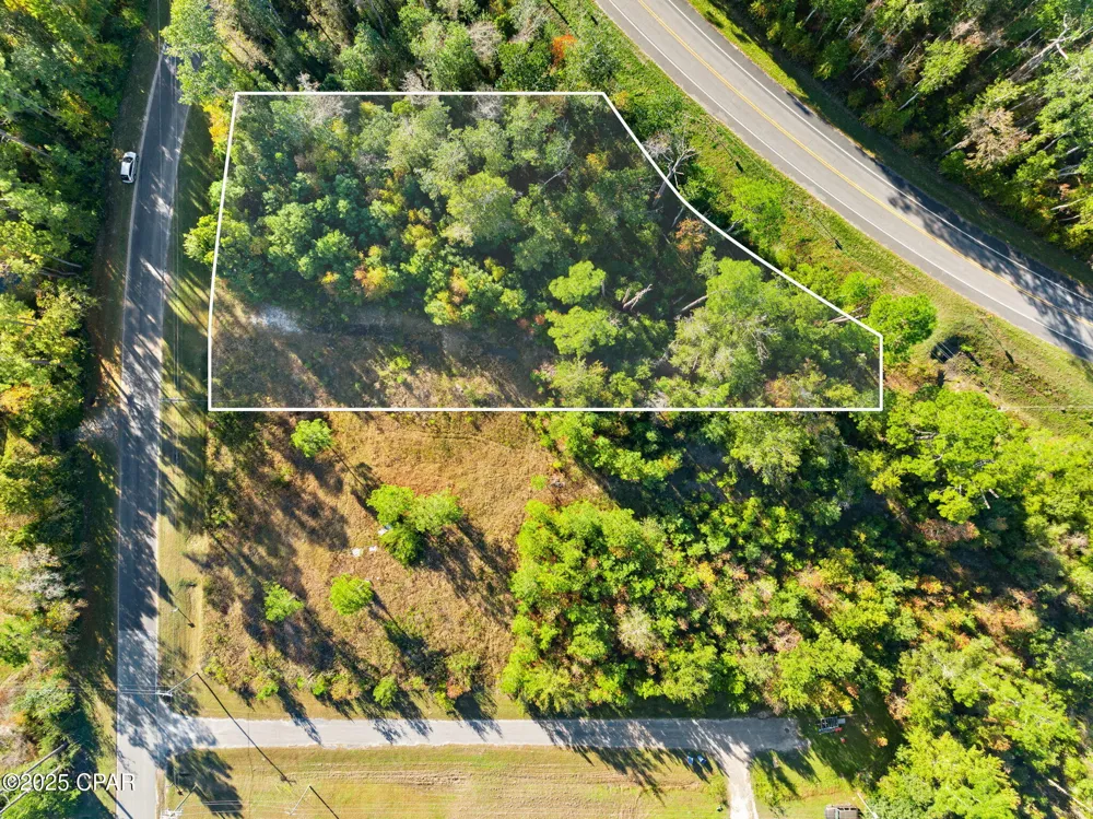 135 Canning Drive Wewahitchka, FL 32465
