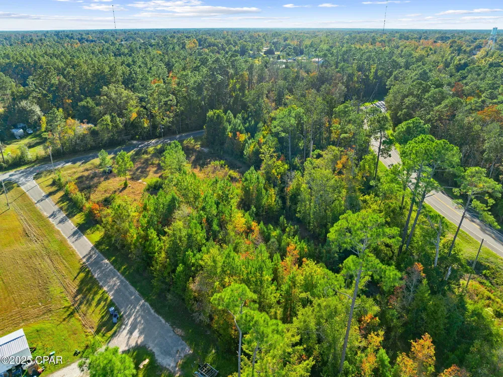 135 Canning Drive Wewahitchka, FL 32465
