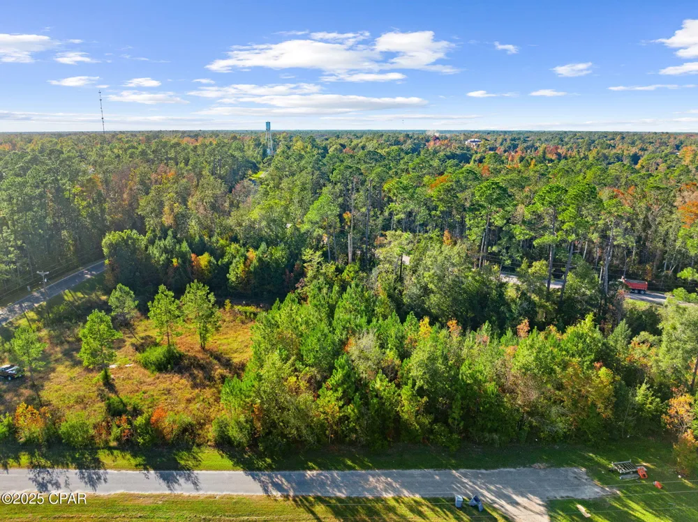 135 Canning Drive Wewahitchka, FL 32465