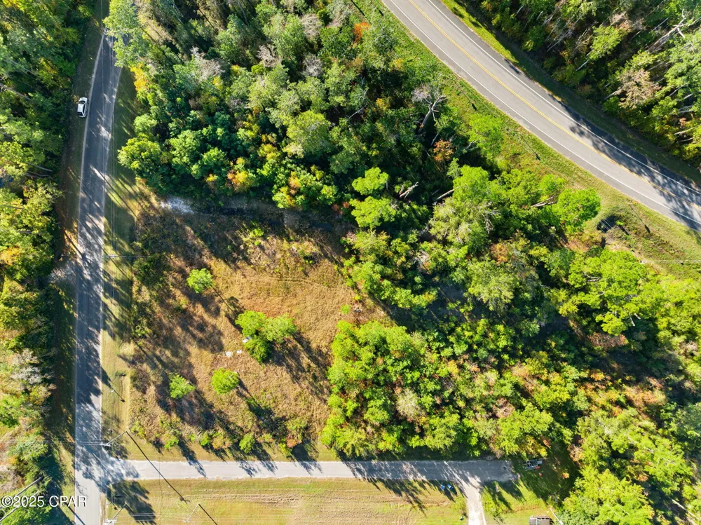 135 Canning Drive Wewahitchka, FL 32465