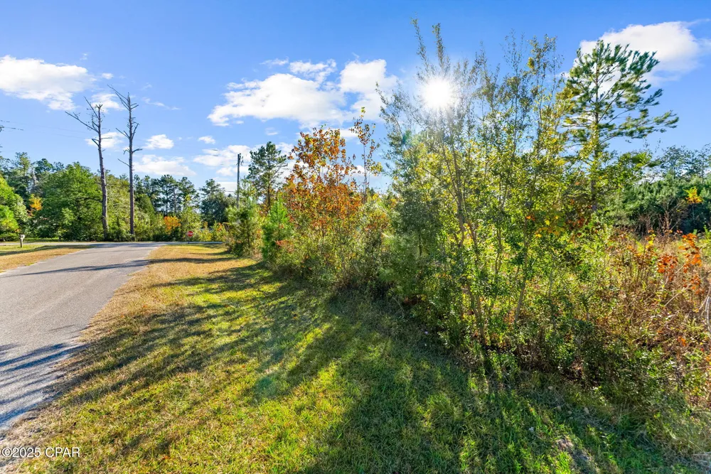 135 Canning Drive Wewahitchka, FL 32465