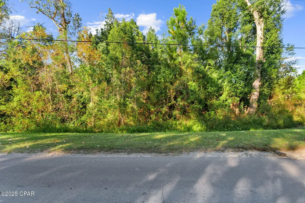 135 Canning Drive Wewahitchka, FL 32465
