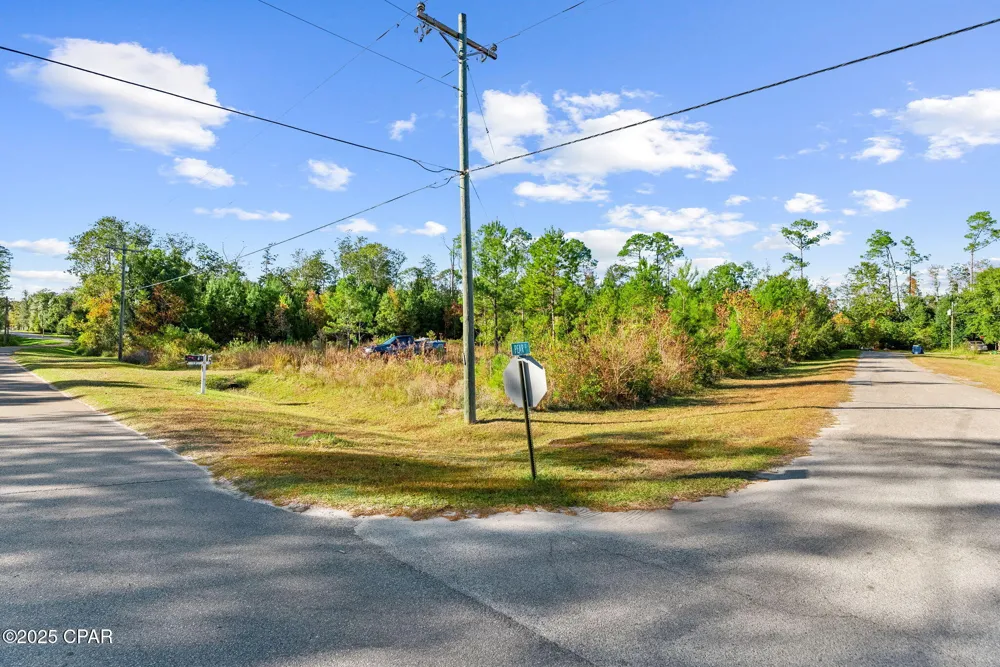 135 Canning Drive Wewahitchka, FL 32465