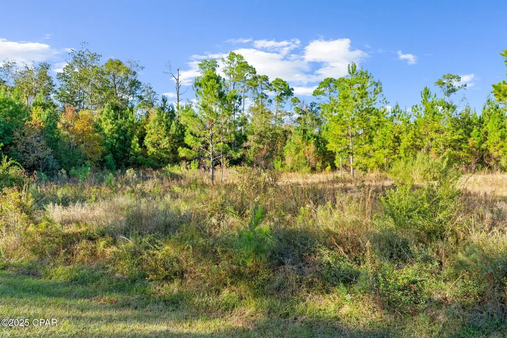 135 Canning Drive Wewahitchka, FL 32465