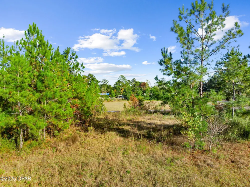 135 Canning Drive Wewahitchka, FL 32465