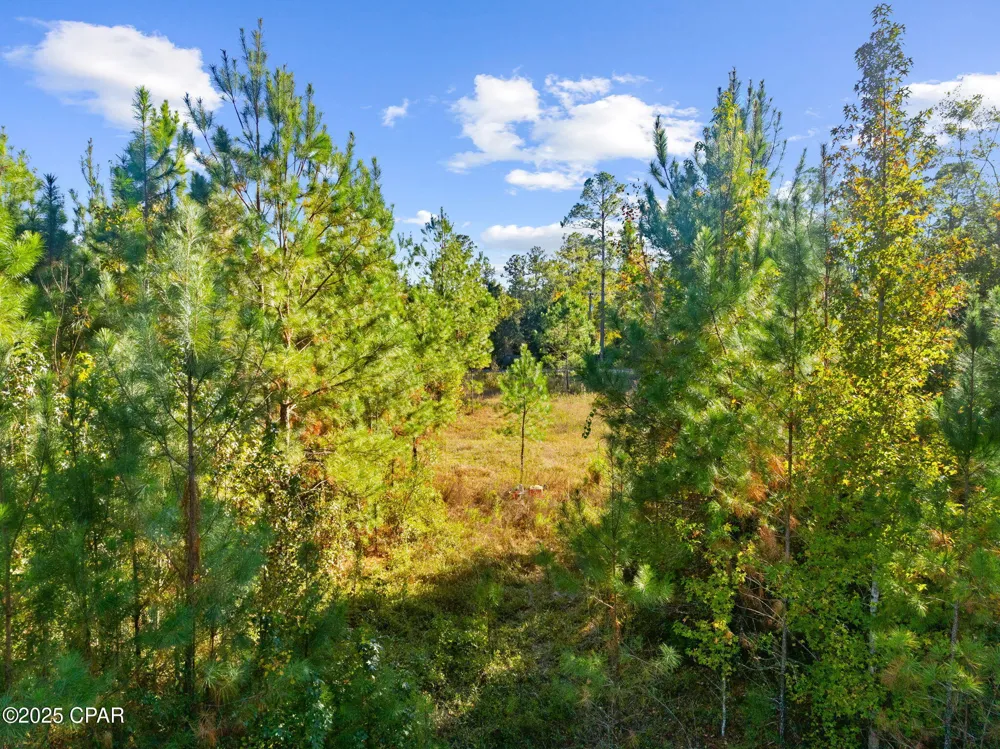 135 Canning Drive Wewahitchka, FL 32465