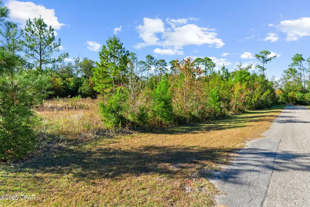 135 Canning Drive Wewahitchka, FL 32465