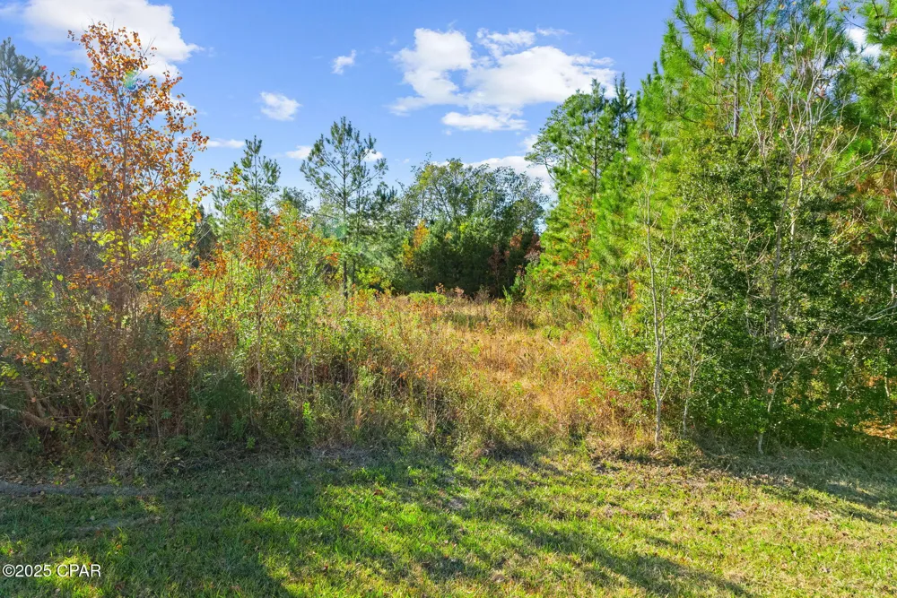 135 Canning Drive Wewahitchka, FL 32465