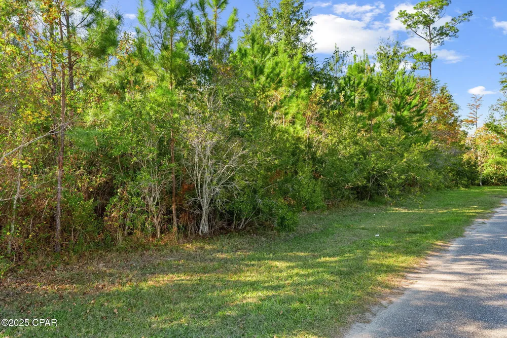 135 Canning Drive Wewahitchka, FL 32465