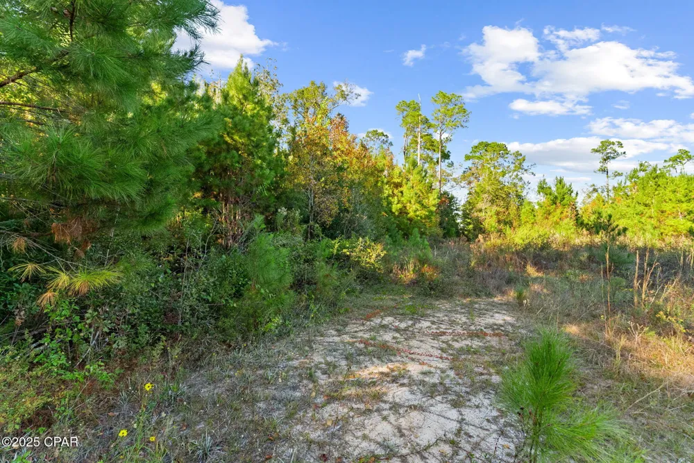 135 Canning Drive Wewahitchka, FL 32465