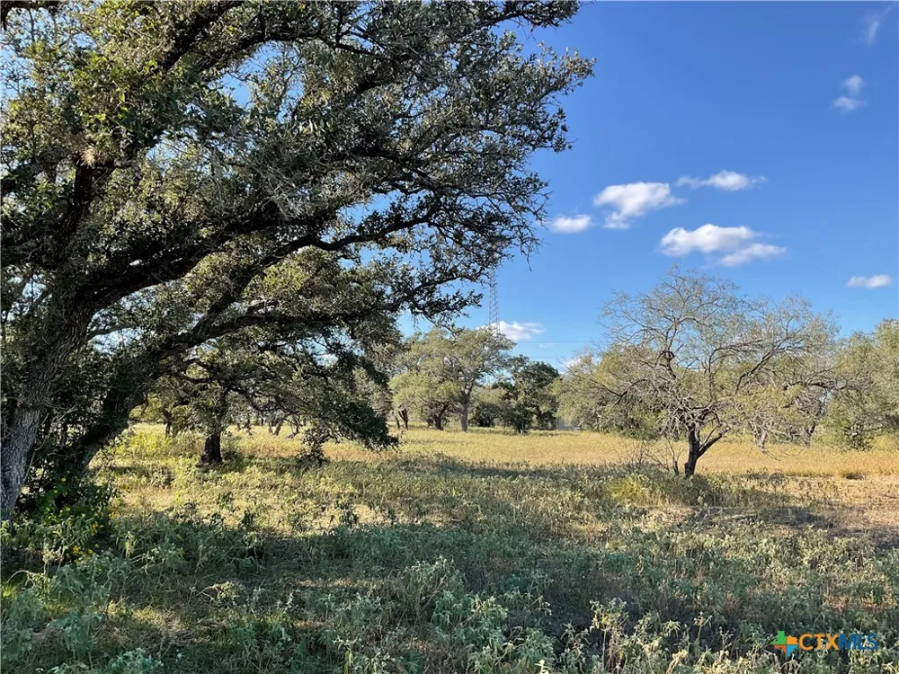 389 Hausmann Road Cuero, TX 77954
