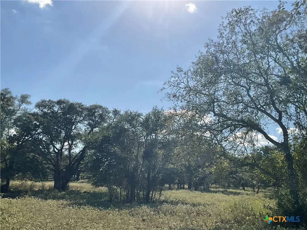 389 Hausmann Road Cuero, TX 77954