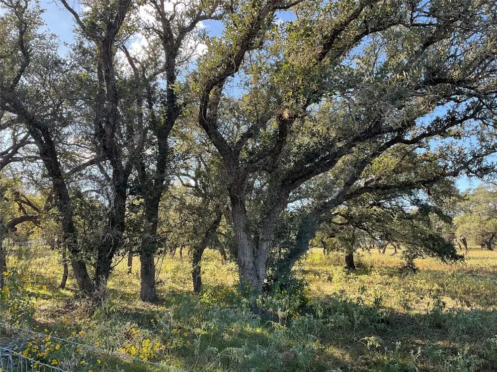 389 Hausmann Road Cuero, TX 77954