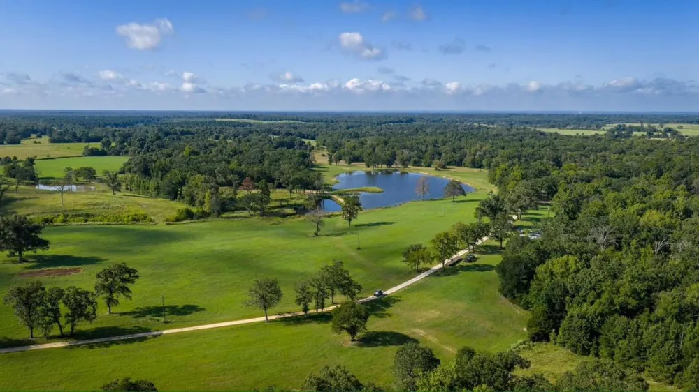 1577 County Road 431 Tennessee Colony, TX 75861