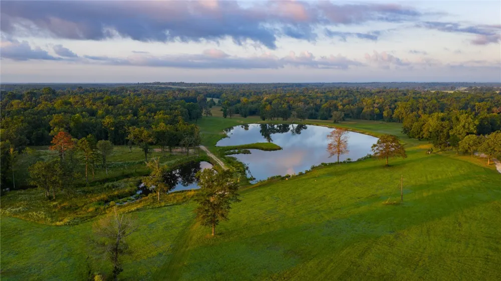 1577 County Road 431 Tennessee Colony, TX 75861