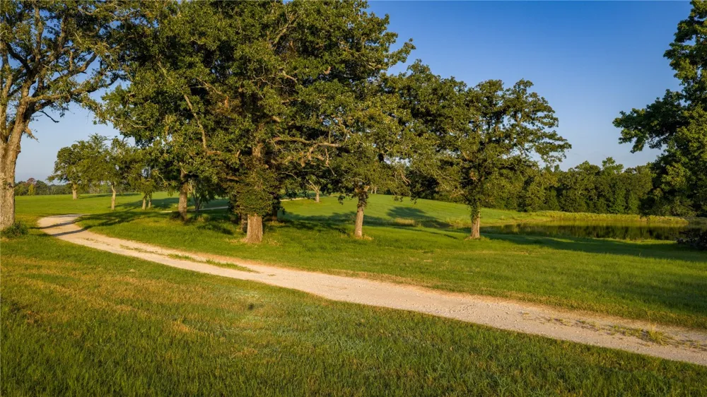 1577 County Road 431 Tennessee Colony, TX 75861