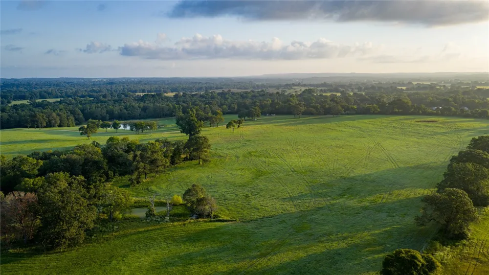 1577 County Road 431 Tennessee Colony, TX 75861