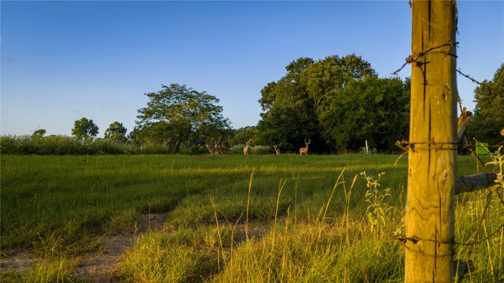 1577 County Road 431 Tennessee Colony, TX 75861