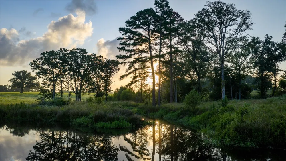 1577 County Road 431 Tennessee Colony, TX 75861