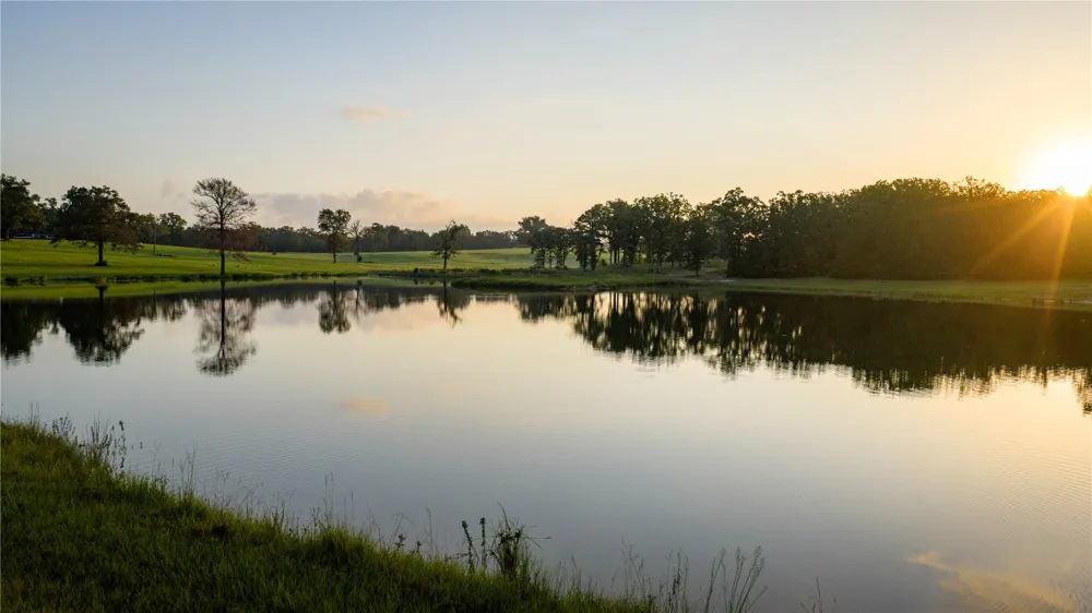 1577 County Road 431 Tennessee Colony, TX 75861