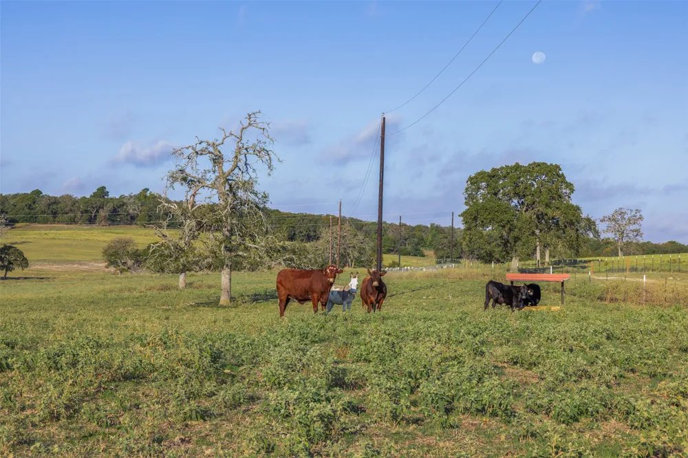 510 County Road 282 Cameron, TX 76520