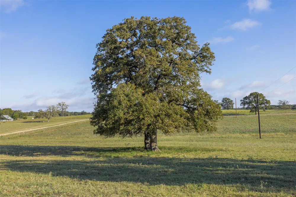 510 County Road 282 Cameron, TX 76520