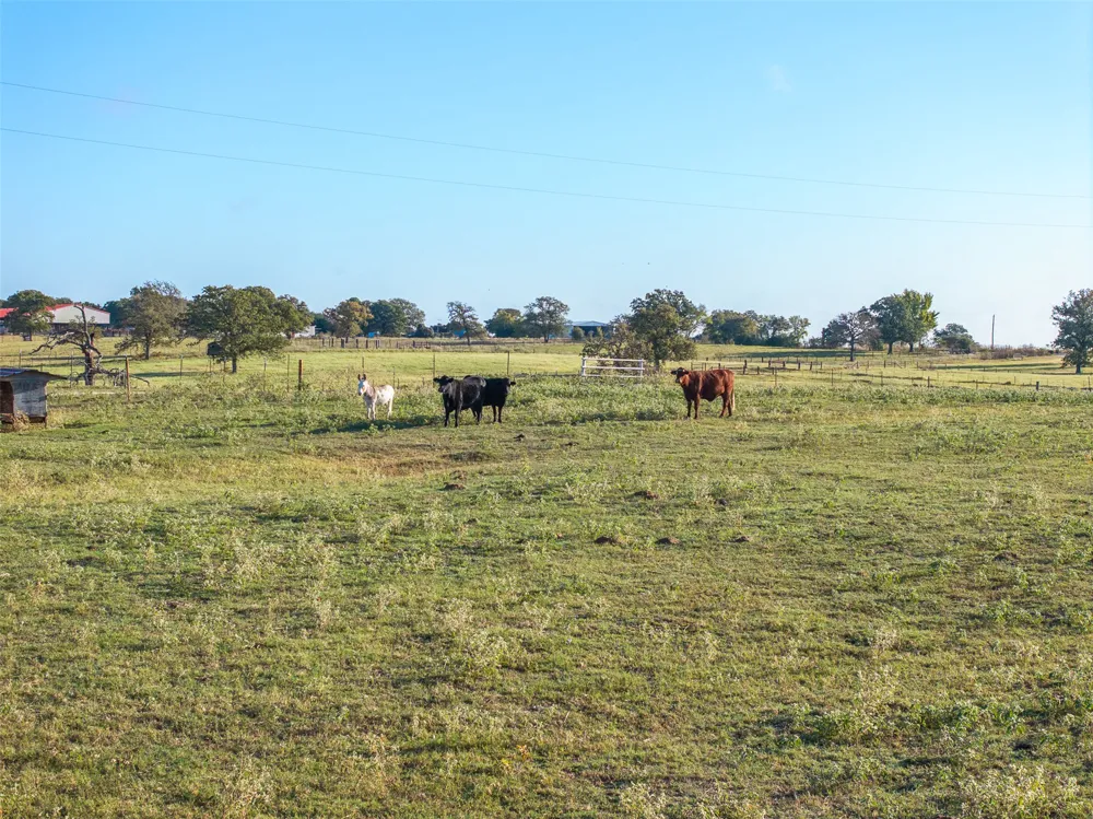 510 County Road 282 Cameron, TX 76520