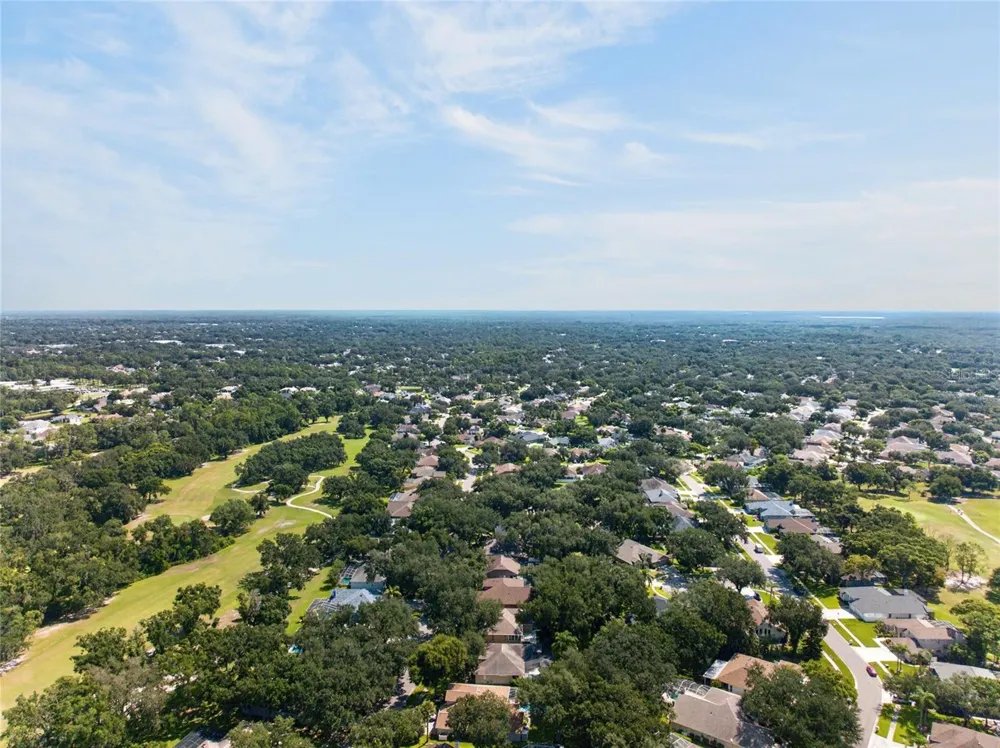 2243 EAGLE BLUFF DRIVE Valrico, FL 33596